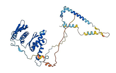 KRR1 3D structure