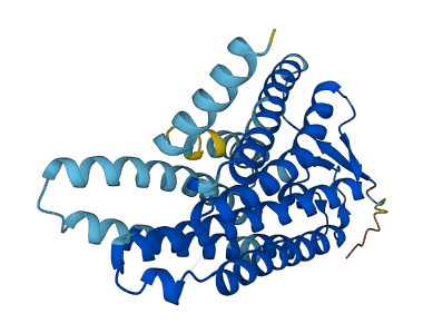 OR5I1 3D structure
