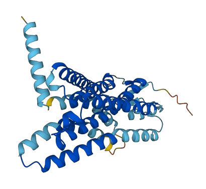 OR2F1 3D structure