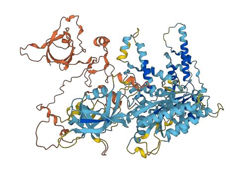 PEX6 3D structure