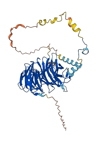 PWP1 3D structure