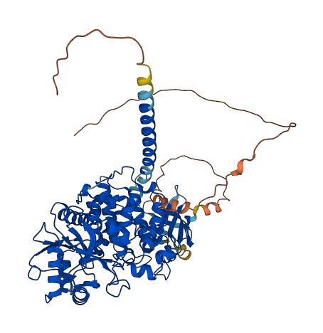 MTMR1 3D structure