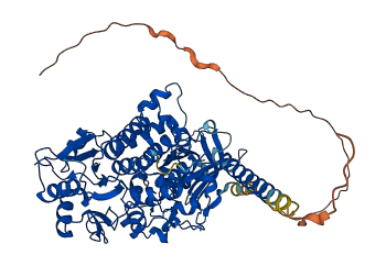 MTMR2 3D structure