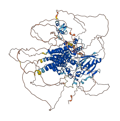 MTMR3 3D structure