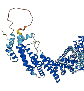 CUL1 3D structure