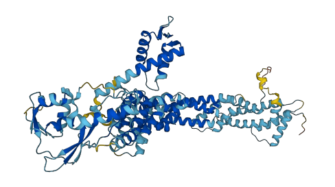 CUL2 3D structure