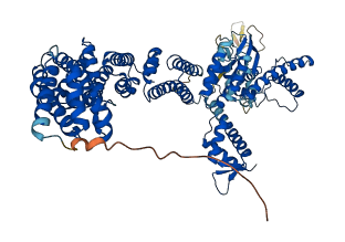 CUL3 3D structure