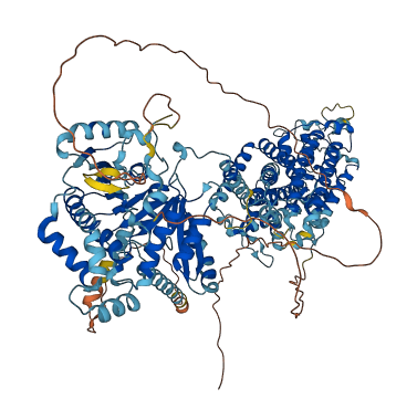 SLC12A1 3D structure