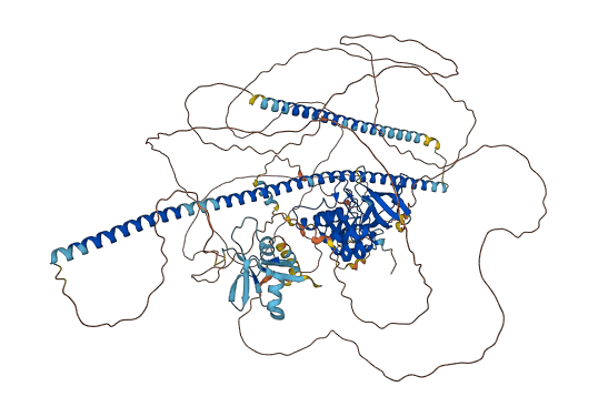TP53BP2 3D structure
