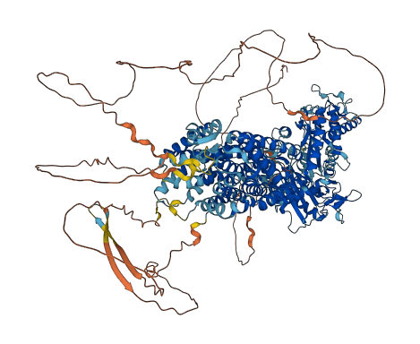 PTCH1 3D structure