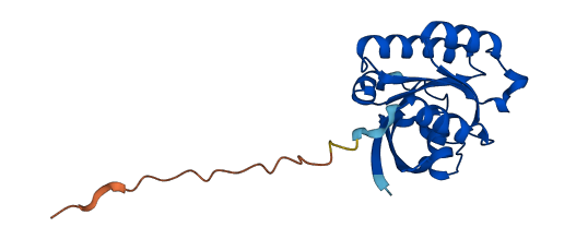 RAB31 3D structure