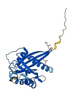 RAB32 3D structure