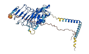 TPBG 3D structure
