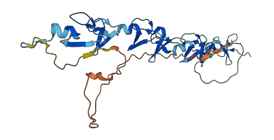 FHL1 3D structure