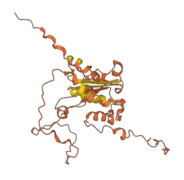 PMS2P11 3D structure