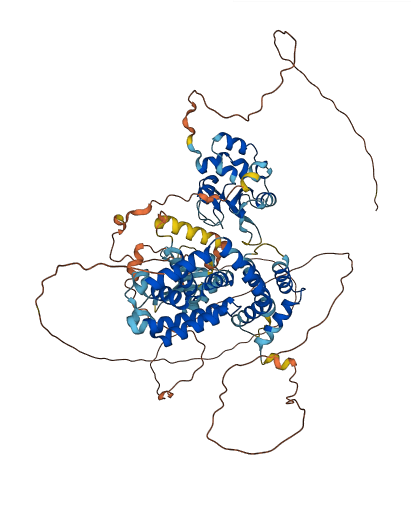 RIN1 3D structure