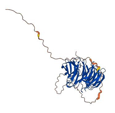 AAMP 3D structure