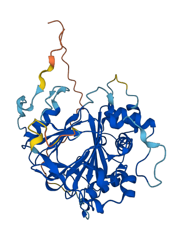 ALKBH1 3D structure