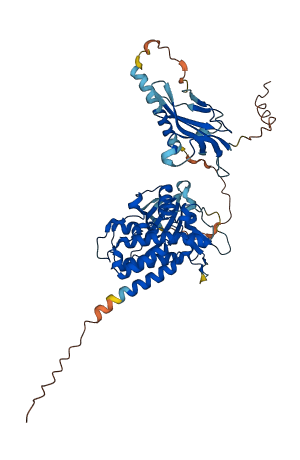 ACVR2B 3D structure