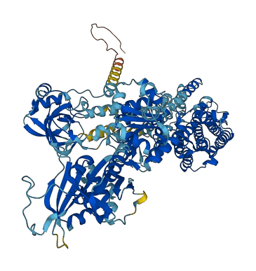 ATP1A4 3D structure