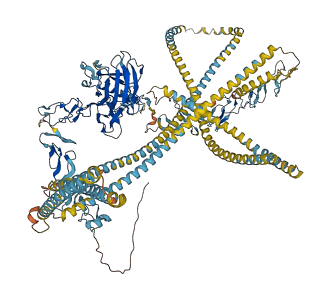 LAMC2 3D structure