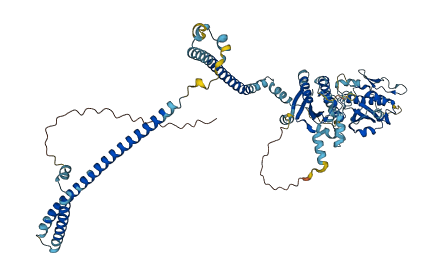 THOC5 3D structure