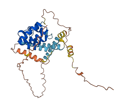 APOF 3D structure
