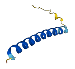 PMAIP1 3D structure