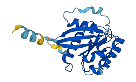 ARFRP1 3D structure