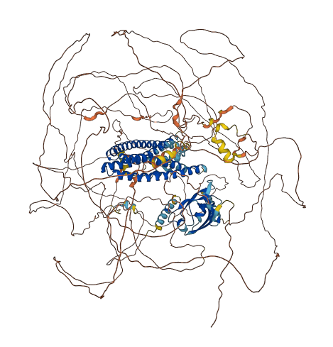 SHROOM2 3D structure