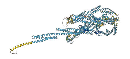 SPTAN1 3D structure