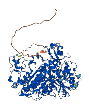 ENPP2 3D structure