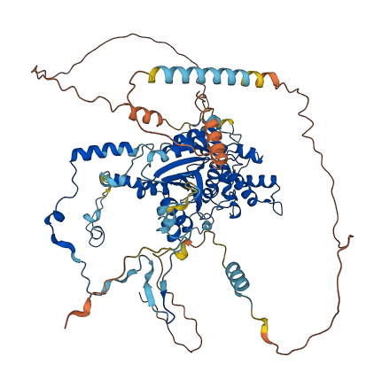 GNL2 3D structure