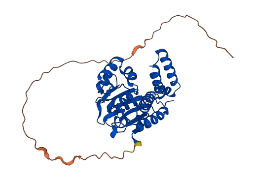 AUH 3D structure