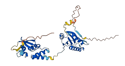 TNFAIP1 3D structure