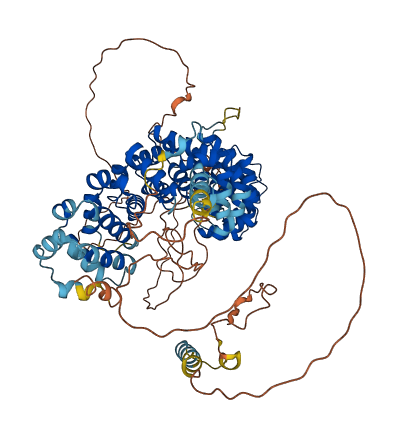 PKP1 3D structure