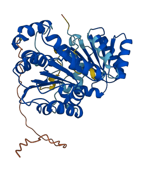 DDX39B 3D structure