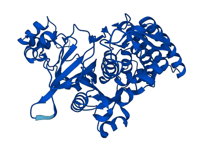 BLMH 3D structure
