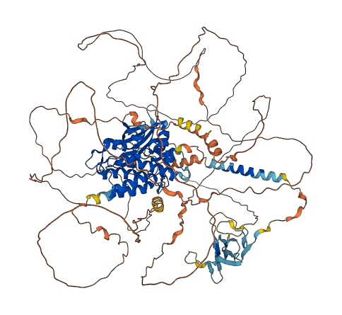 BMPR2 3D structure