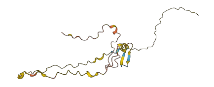 MOBP 3D structure
