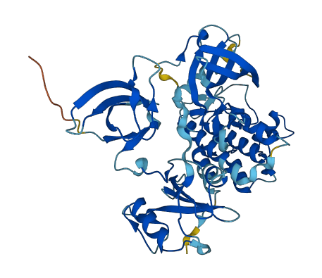 PTK6 3D structure