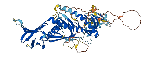 SNTB1 3D structure