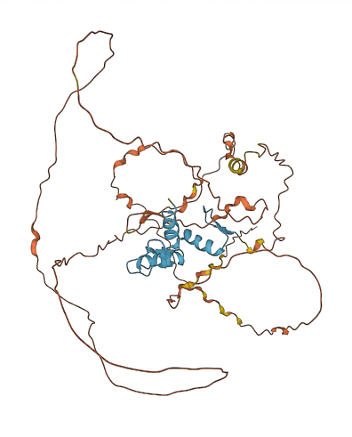 KLF5 3D structure