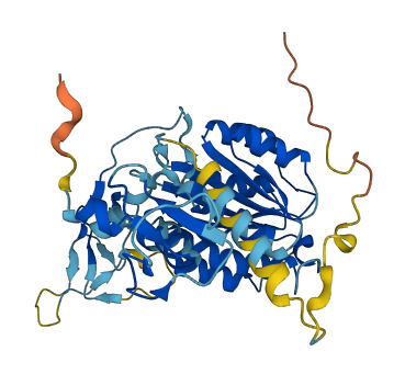 GTF2H2 3D structure
