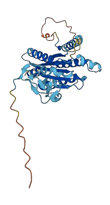 GTF2H3 3D structure