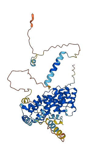 BYSL 3D structure