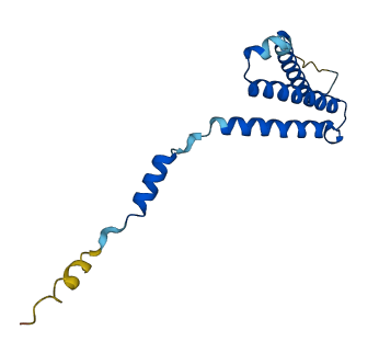 C1D 3D structure