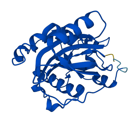 IDI1 3D structure