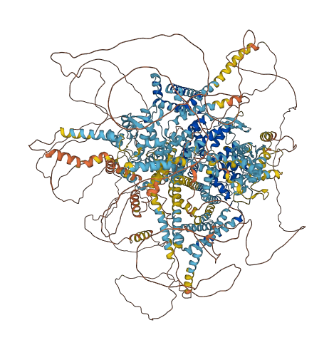 CACNA1C 3D structure