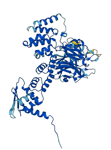 CCIN 3D structure